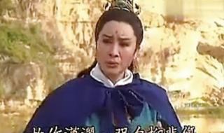 杨丽花歌仔戏曲调