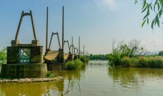 西安湿地公园 西安湿地公园