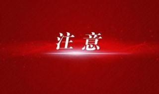 高校专项计划报名系统