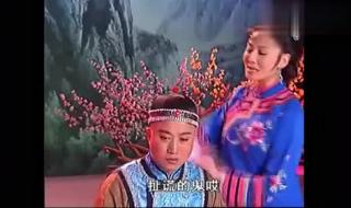 韩再芬黄梅戏小辞店 韩再芬黄梅戏小辞店