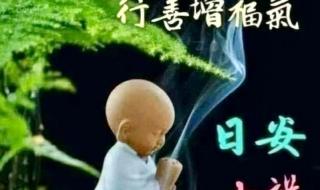 早上好图片最新大图