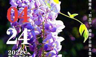 5月24日是什么日子