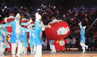 上一届冬残奥会奖牌榜