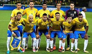 巴西队2010世界杯阵容